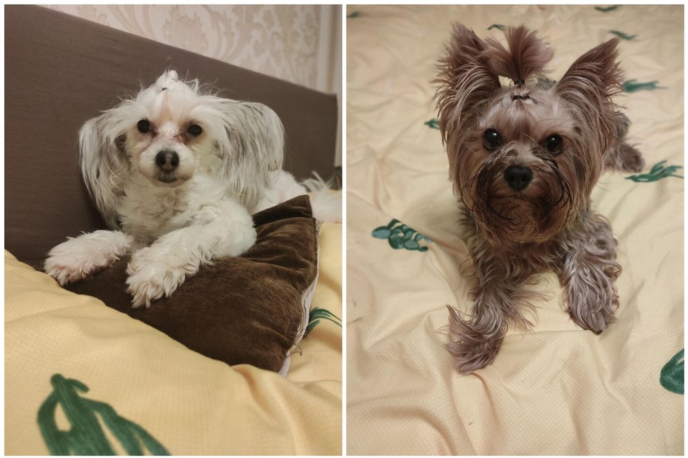 Фото: предоставлено Еленой