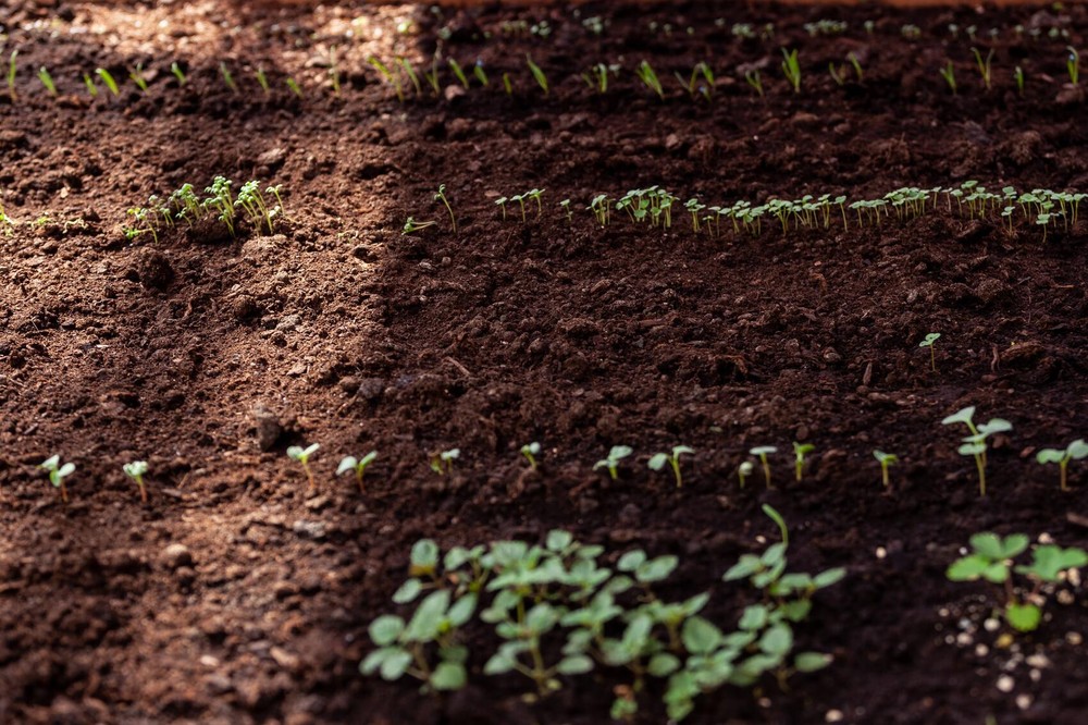 Фото: Игорь Брук / It's My City