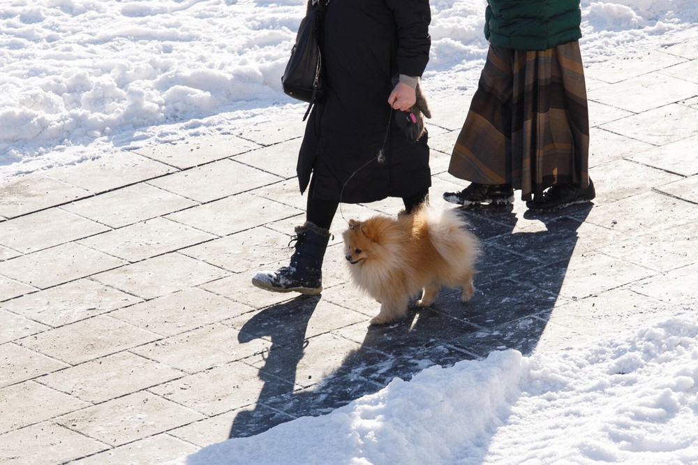 Фото: Марина Молдавская / It's My City