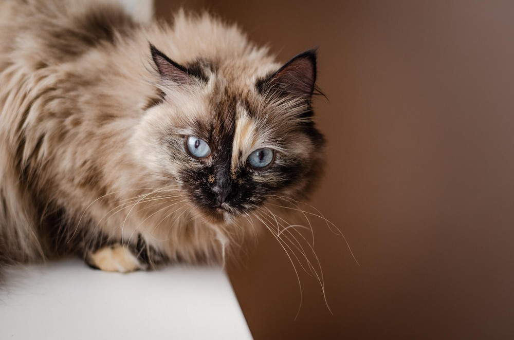 Фото: Евгения Кобеева / It’s My&nbsp;City