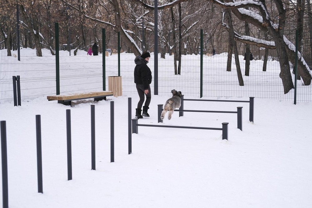 Фото: Саша Зубковский / It's My City