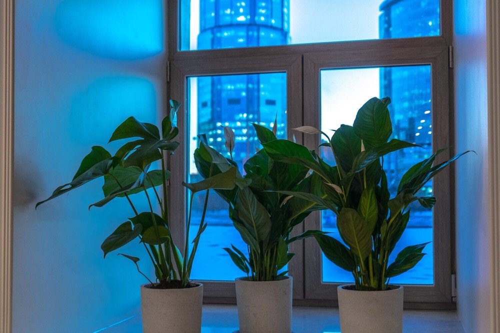 Фото: Арина Томашова / It's My City