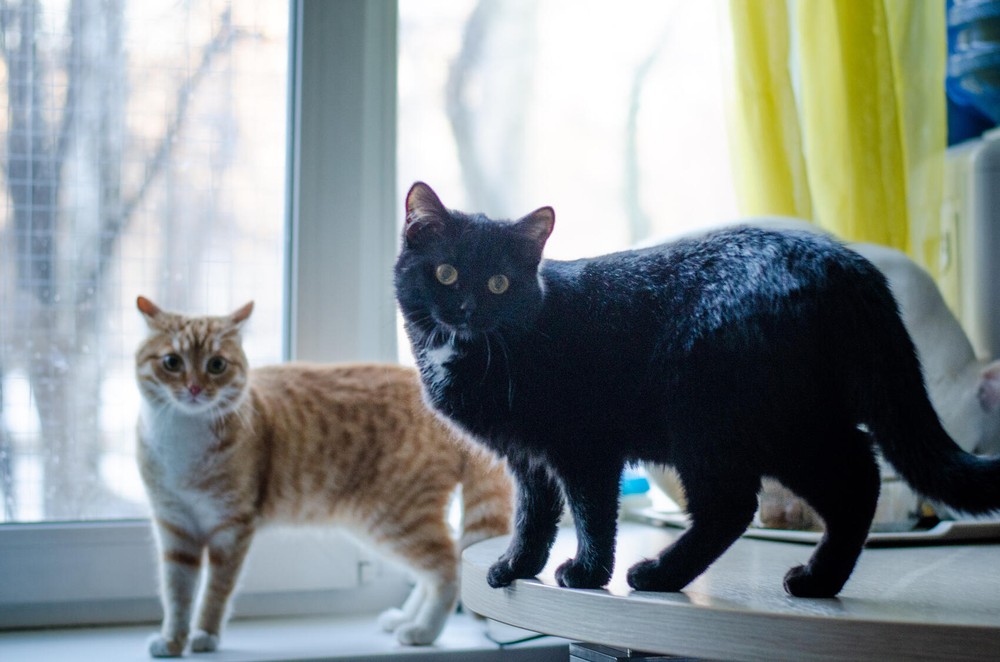 Фото: Евгения Кобеева / It’s My&nbsp;City