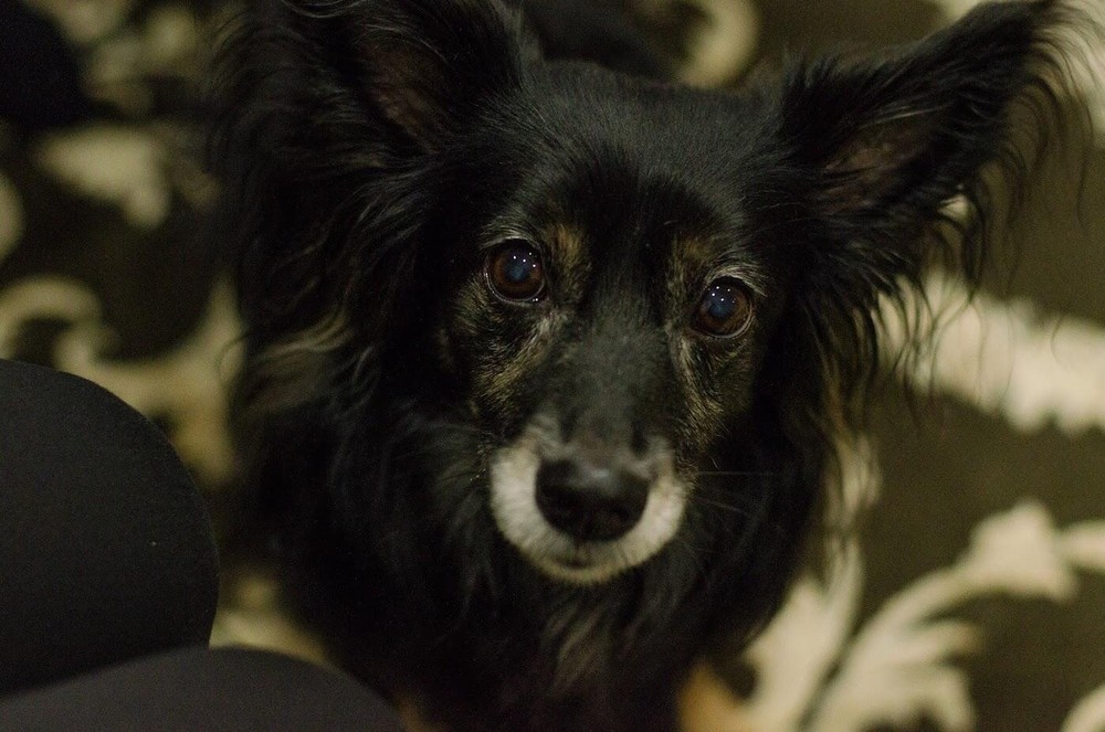 Бэт. Фото: Евгения Кобеева / It’s My&nbsp;City