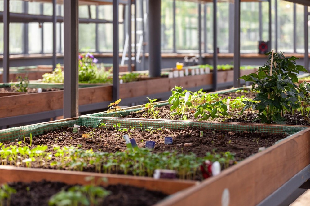 Фото: Игорь Брук / It's My City