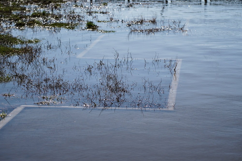 Фото: It's My City