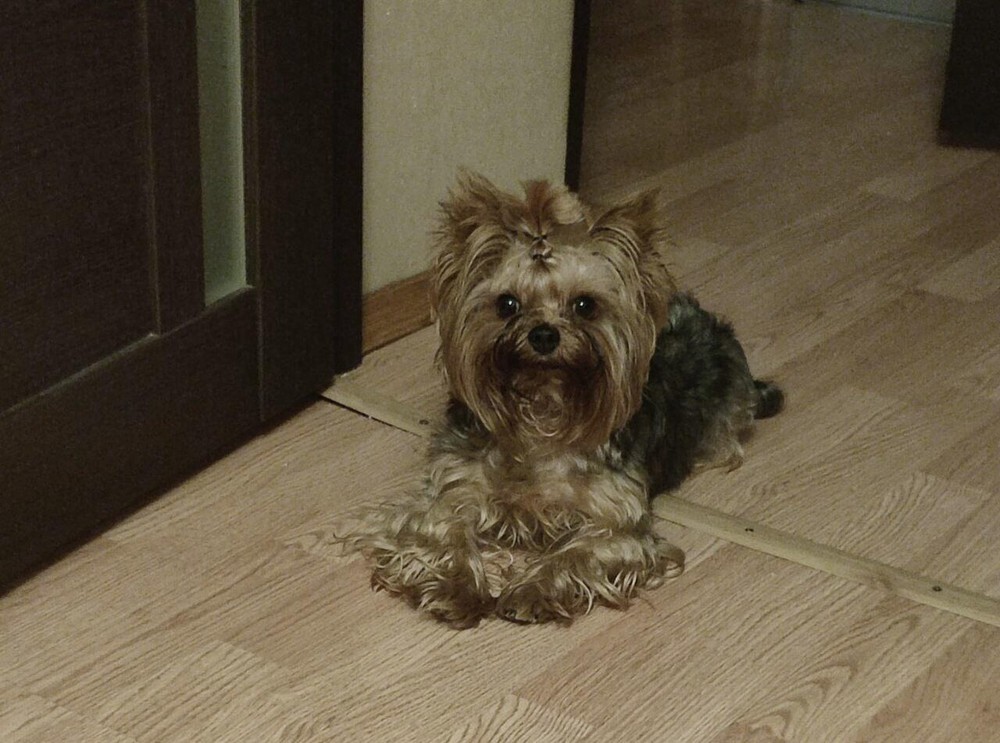 Фото: предоставлено Еленой