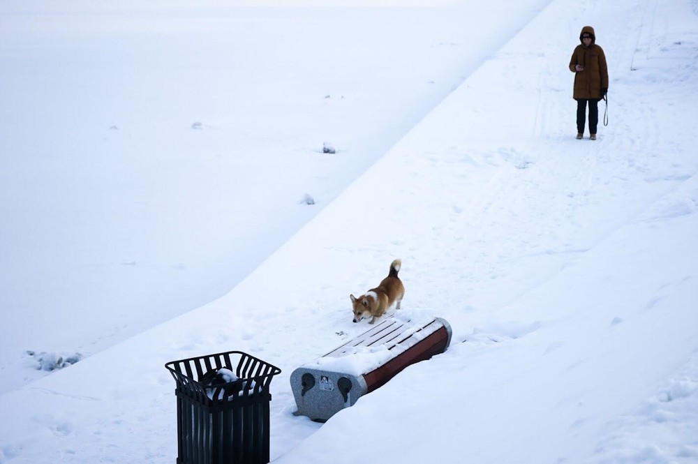 Фото: Арина Томашова / It's My City