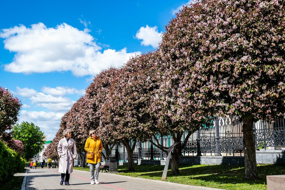 Фото: Саша Зубковский / It's My City