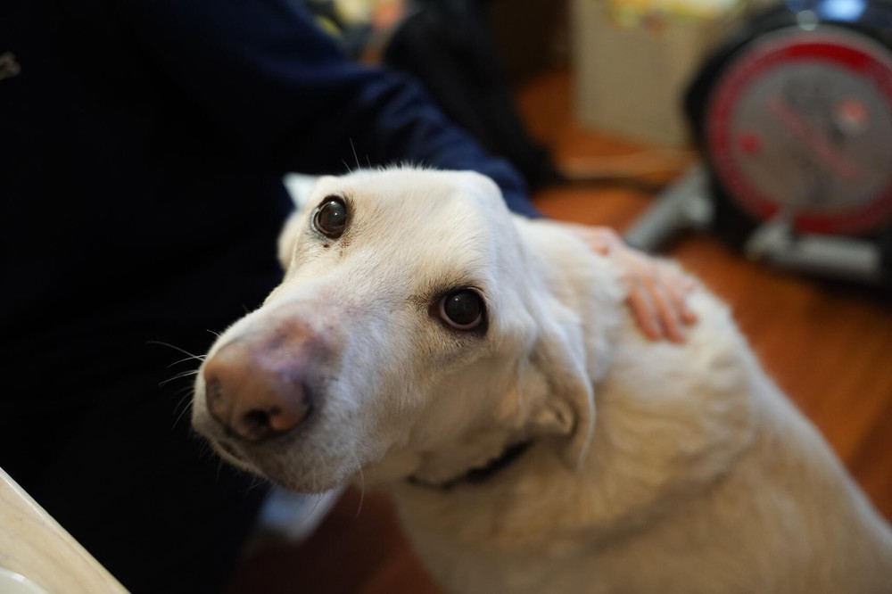 Хэн. Фото: Елена Елизарова / It’s My&nbsp;City